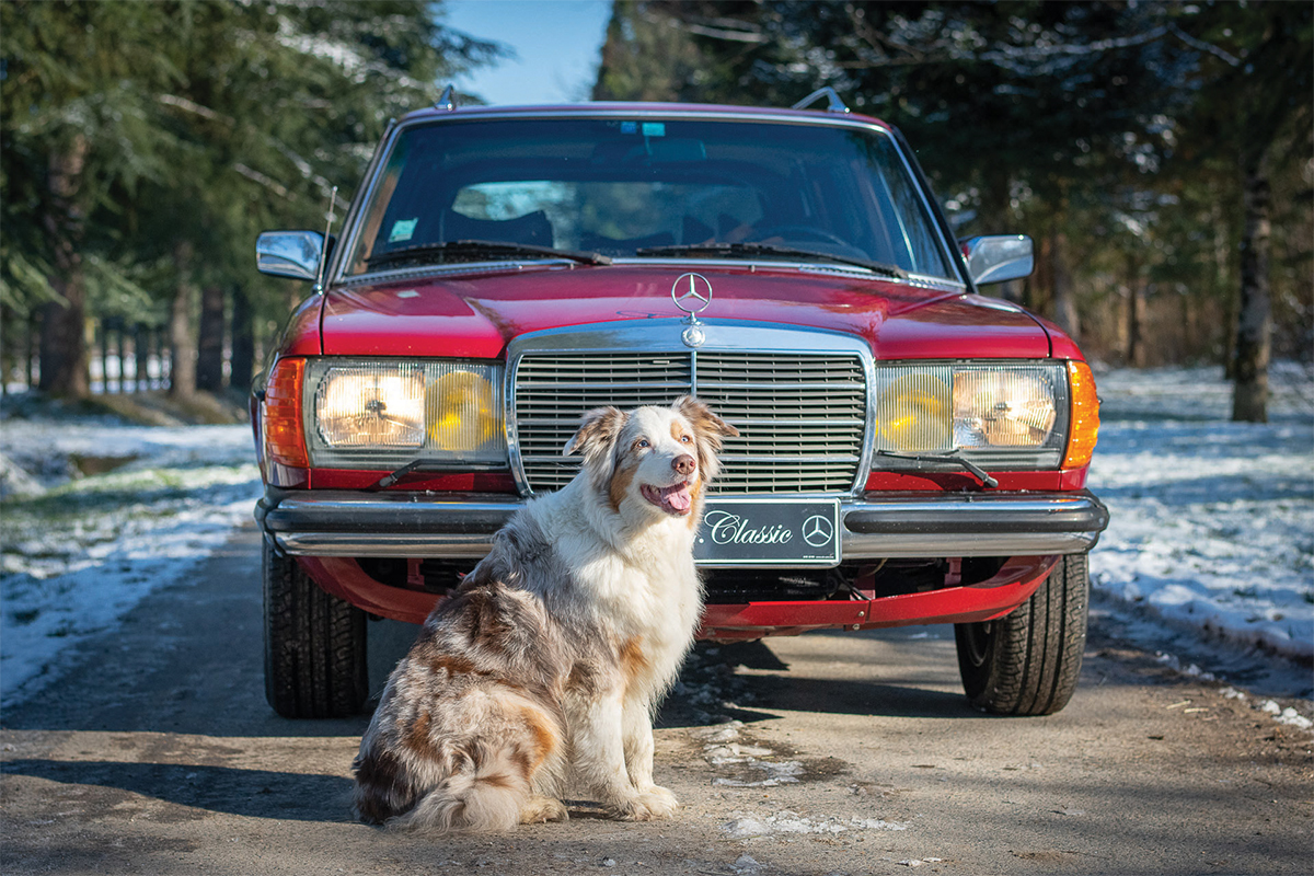 Hervé Chauvin Collection