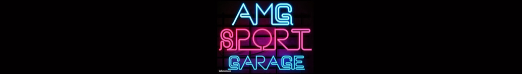AMG SPORT GARAGE - Vente de voiture Rhone