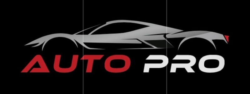 Logo AUTO PRO LH