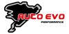 Logo AUTO EVO PERFORMANCE